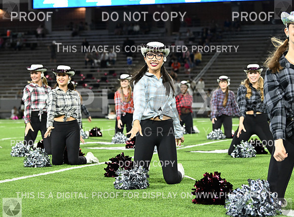 DLS_1028