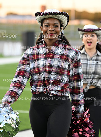DLS_0586