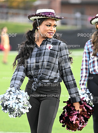 DLS_0594