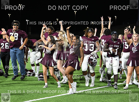 DLS_1091