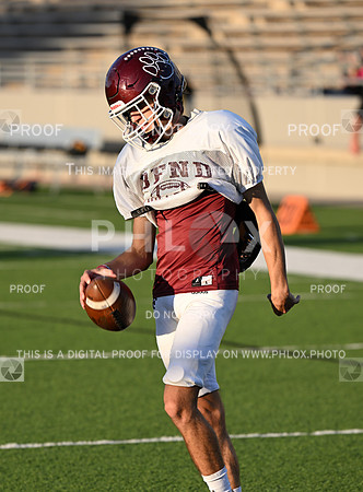 DLS_0189