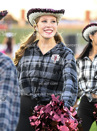 DLS_0589