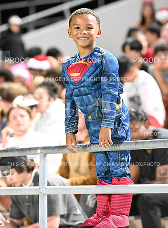 DLS_0733