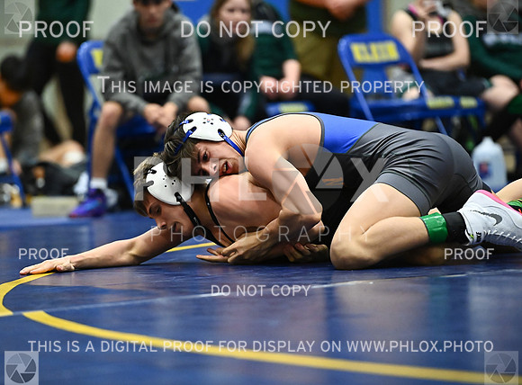 DLS_9071