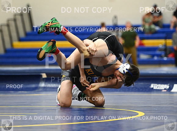DLS_9132