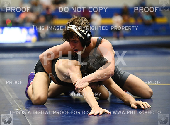 DLS_9012