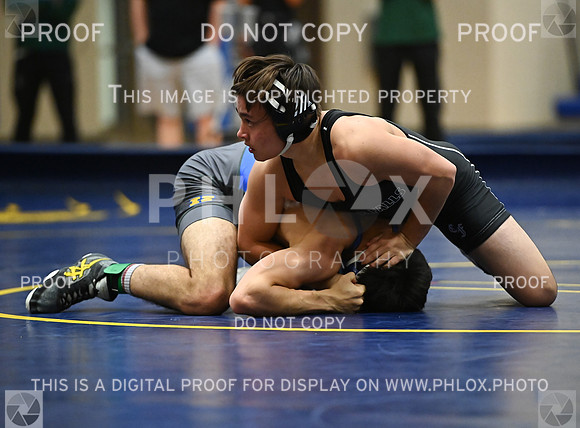 DLS_9025