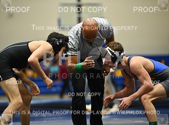 DLS_9015