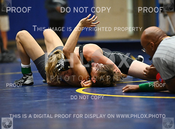 DLS_9171