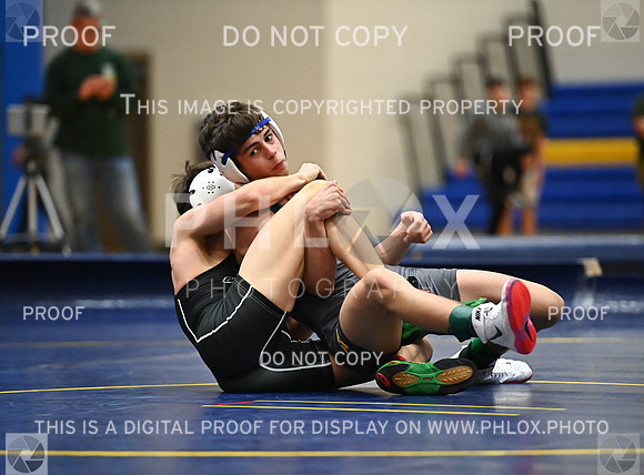 DLS_9144