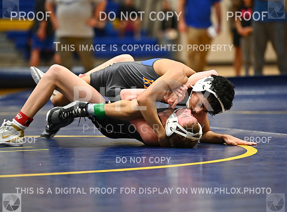 DLS_8996