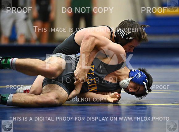 DLS_9020