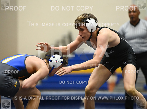 DLS_9104