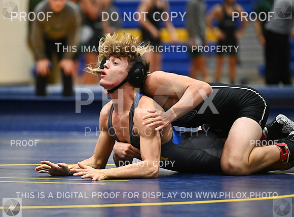 DLS_9161