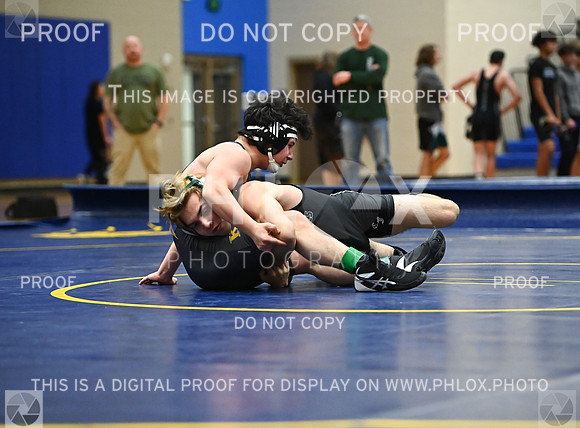 DLS_9197