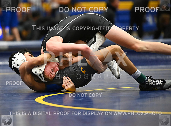 DLS_8988