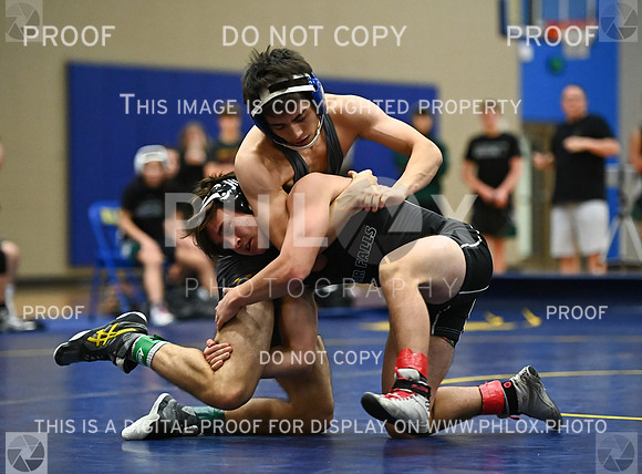 DLS_9046