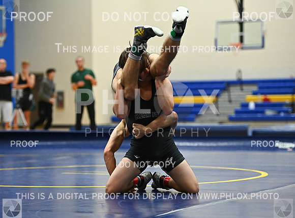DLS_9037