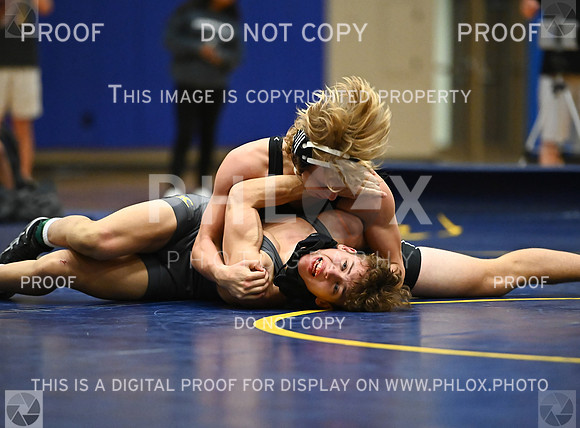 DLS_9169
