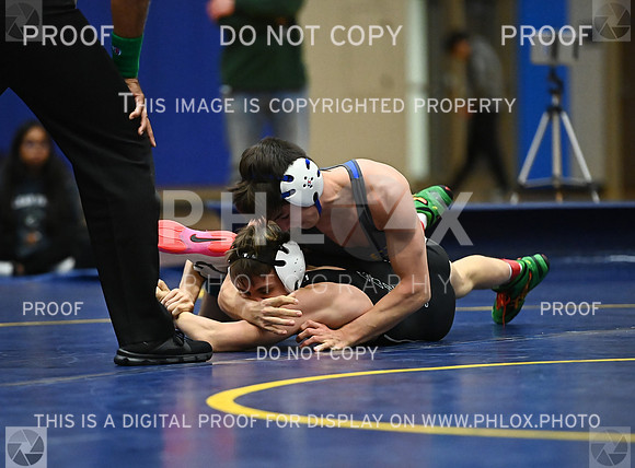 DLS_9092
