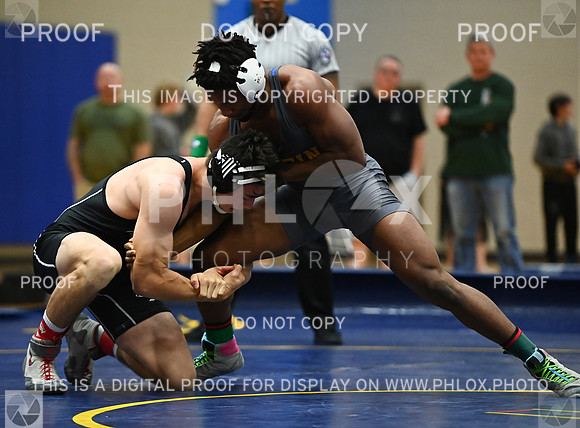 DLS_9250