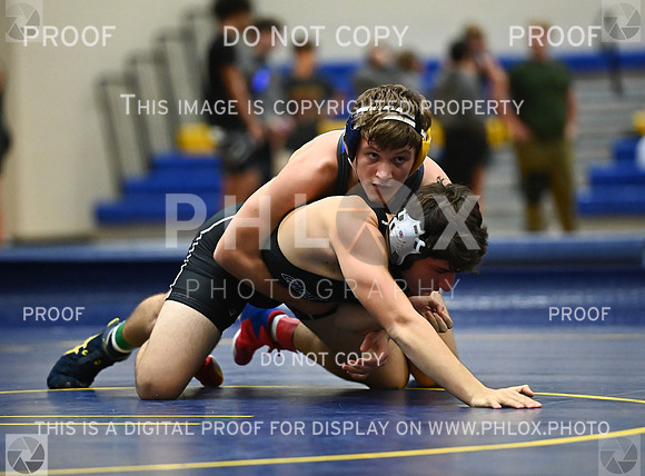 DLS_9240