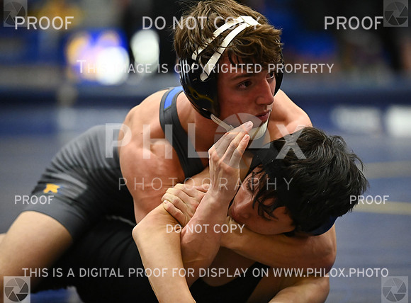 DLS_9010