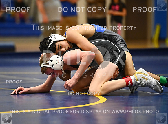 DLS_9001