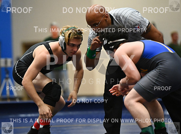 DLS_9189