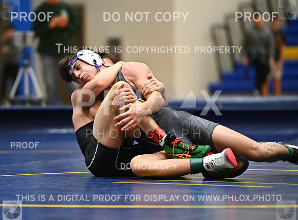 DLS_9148