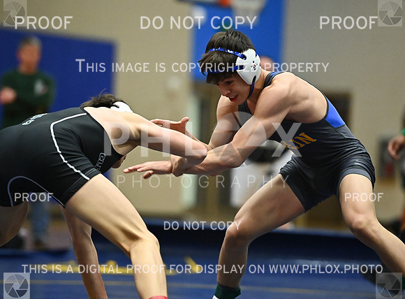 DLS_9076