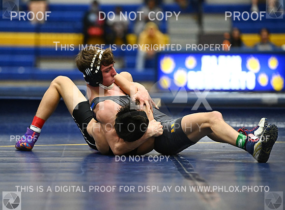 DLS_9017