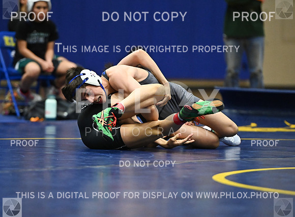 DLS_9090