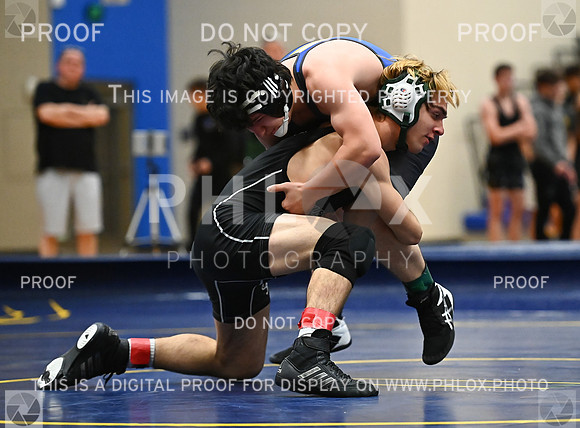 DLS_9191