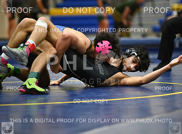DLS_9184