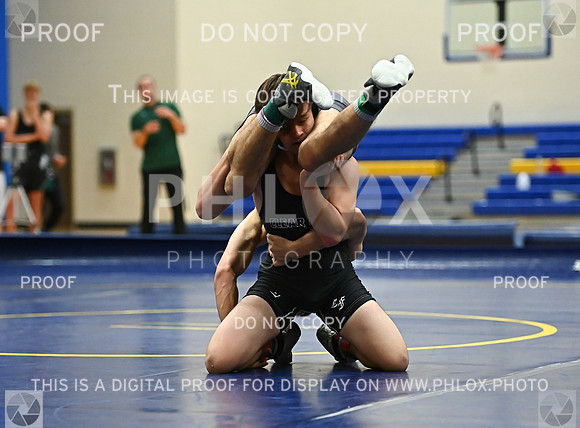 DLS_9036