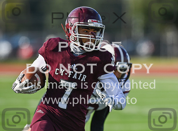 DLS_1411