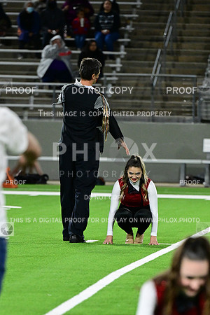 TOM_4037