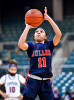 2-24 Tompkins v Dulles (UIL 6A Regional Quarterfinal Playoff) Girls BB - Varsity