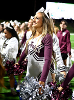 DLS_4239
