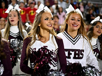 DLS_4326