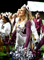 DLS_4240