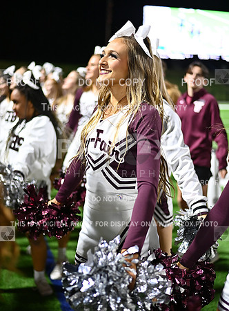 DLS_4240