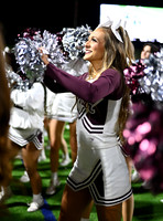 DLS_4236
