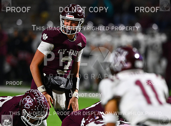 DLS_7387-2