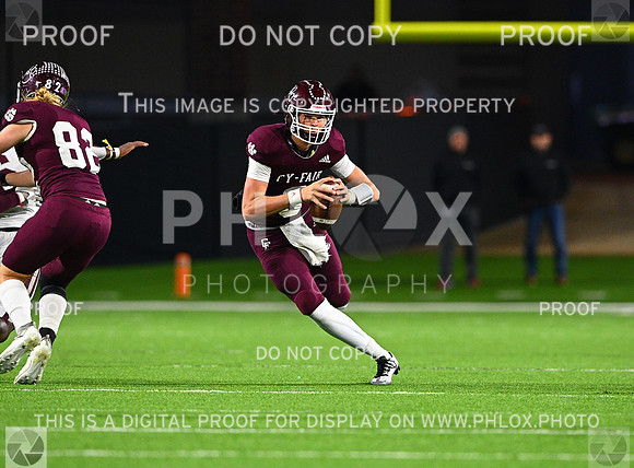 DLS_7646-2