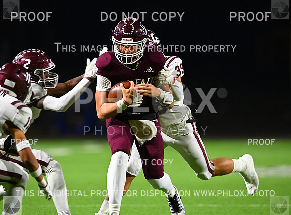 DLS_7337-2