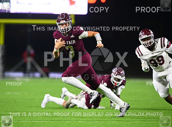 DLS_7331-2