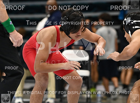 DLS_9587
