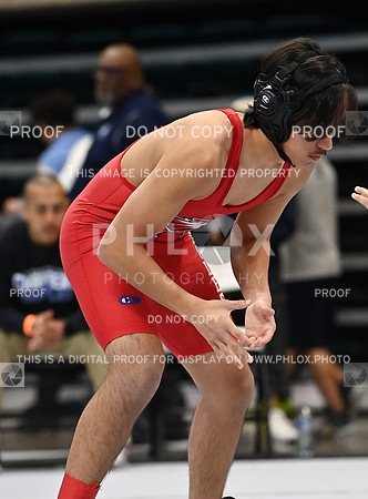 DLS_9588